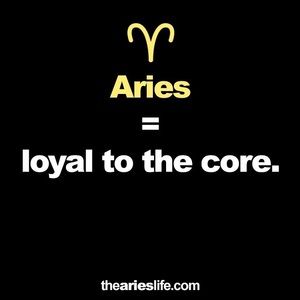 Meet your Posher, Trina